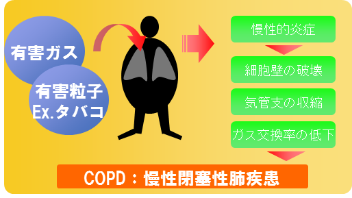 宮地病院　COPD